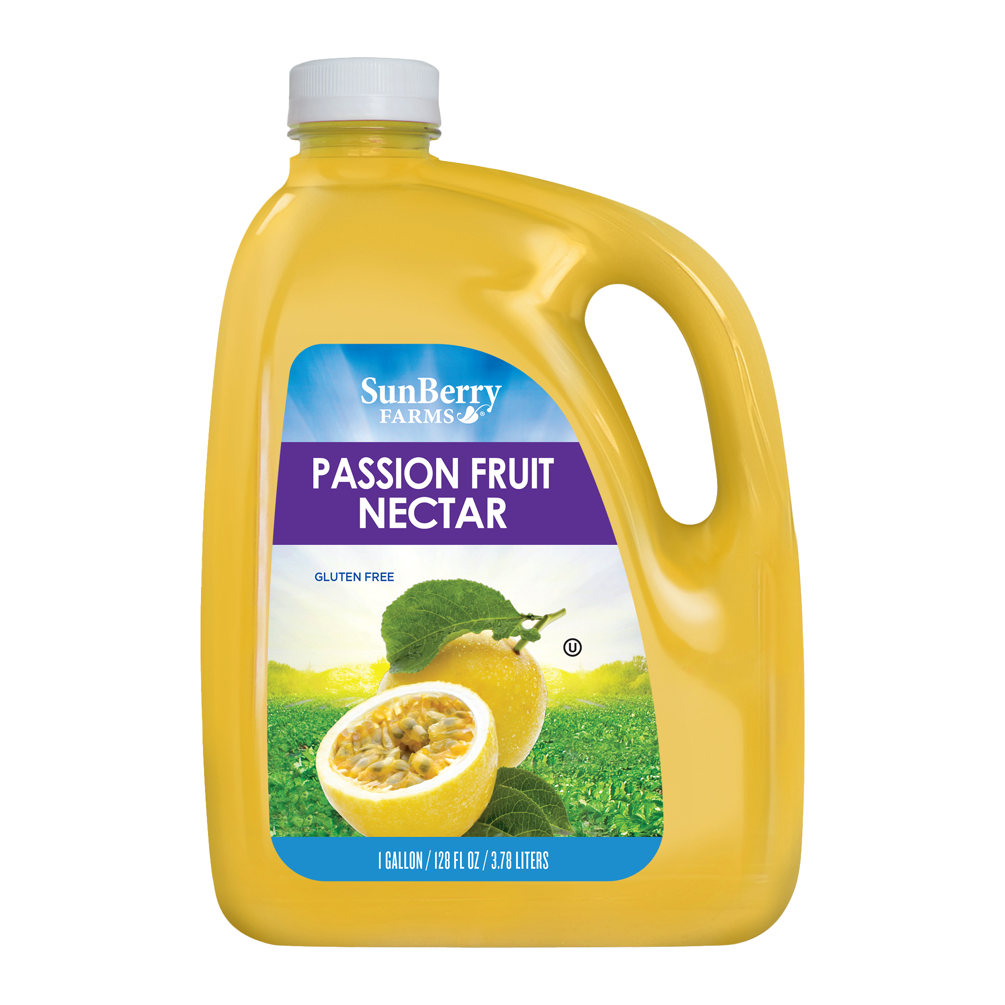 Passion Fruit Nectar